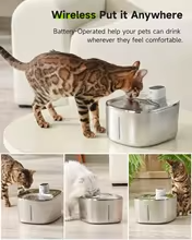 Runway Wireless Cat Water Fountain with Waterproof Self-Contained Battery and Pump, 4L